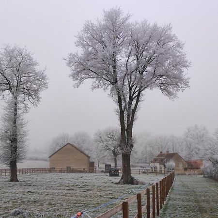 Bienvenue A La Grenouillere Villa Le Magny  Kültér fotó
