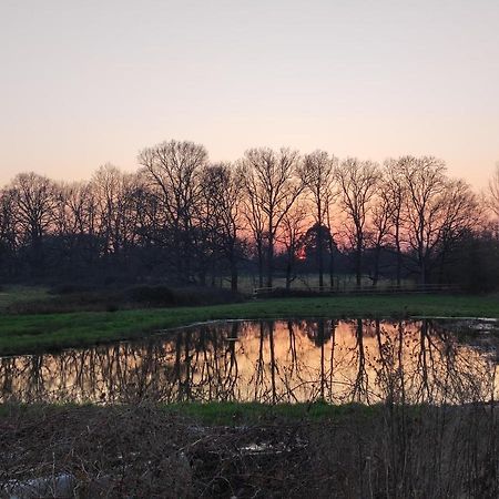 Bienvenue A La Grenouillere Villa Le Magny  Kültér fotó