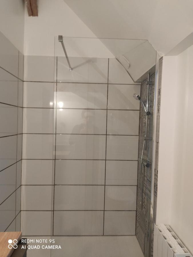 Bienvenue A La Grenouillere Villa Le Magny  Kültér fotó